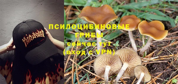 ECSTASY Абдулино