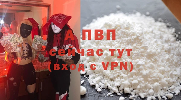гашик Абаза
